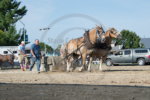 2016DCF_08242016_SCL_9500