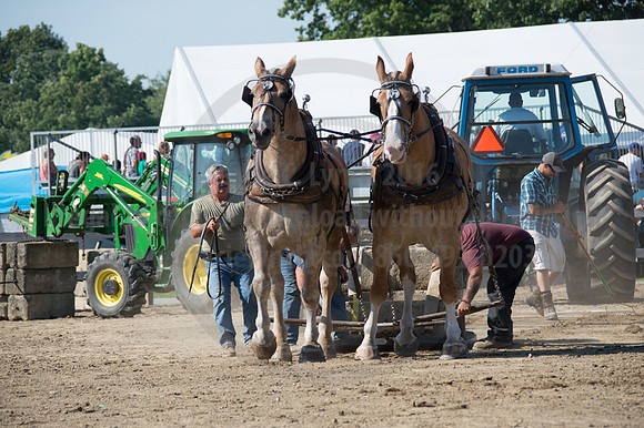 2016DCF_08242016_SCL_9408