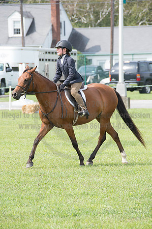 2016DCF_08252016_SCL_9779