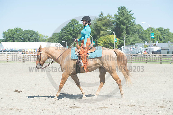2016DCF_08272016_SCL_1225
