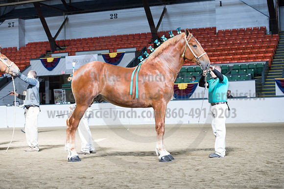 NABC8_10122016_SCL_2939