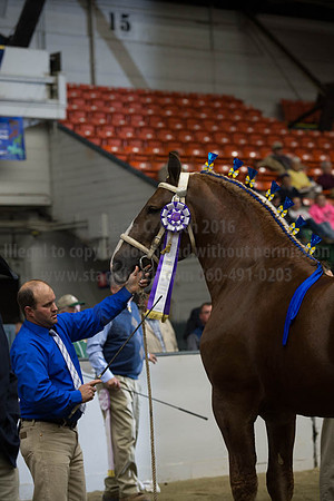 NABC8_10122016_SCL_4125