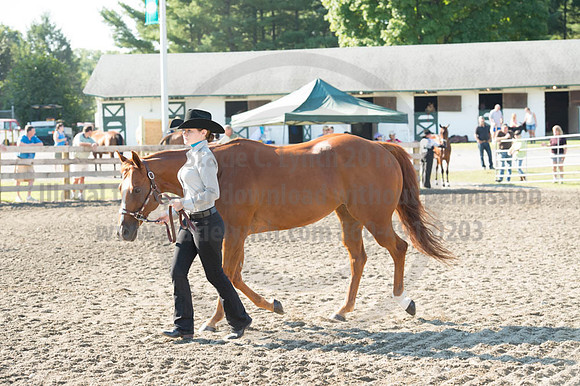 2016DCF_08272016_SCL_0984
