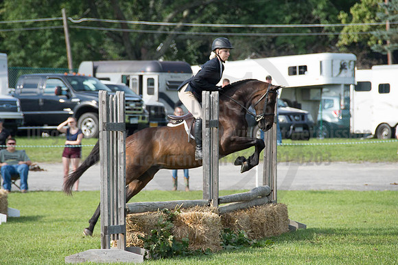 2016DCF_08252016_SCL_9621