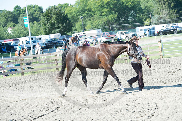 2016DCF_08272016_SCL_1053