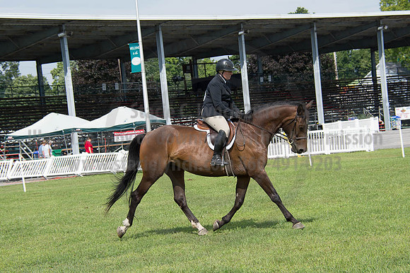 2016DCF_08252016_SCL_9735