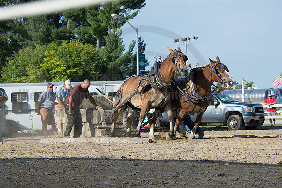 2016DCF_08242016_SCL_9547