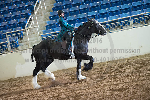 2016 _KILE_10082016_SCL9416