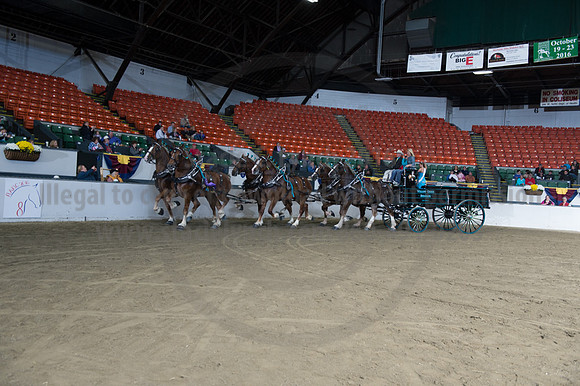 NABC8_10142016_SCL_8832