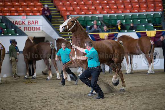 NABC8_10132016_SCL_5217