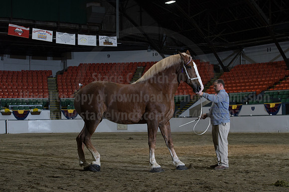NABC8_10152016_SCL_1831