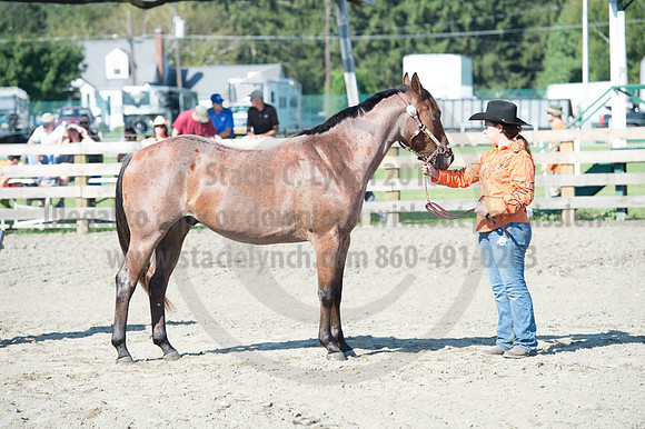 2016DCF_08272016_SCL_1035