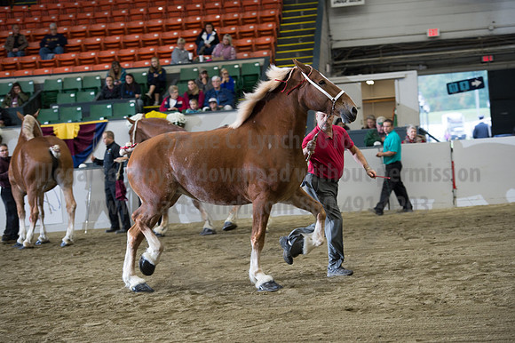 NABC8_10132016_SCL_5191