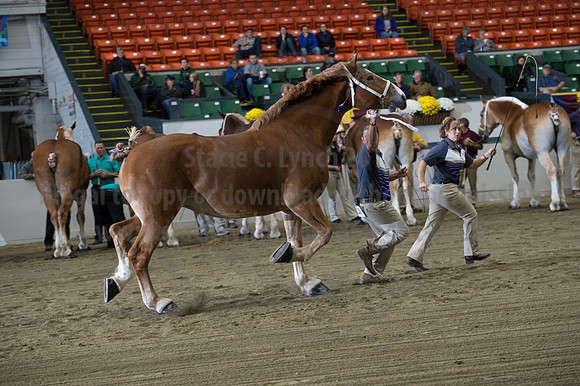 NABC8_10132016_SCL_5161