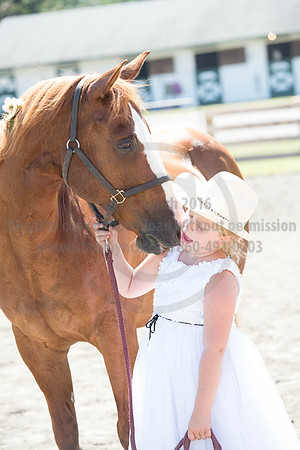 2016DCF_08272016_SCL_1284