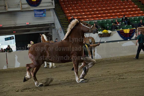 NABC8_10132016_SCL_5089