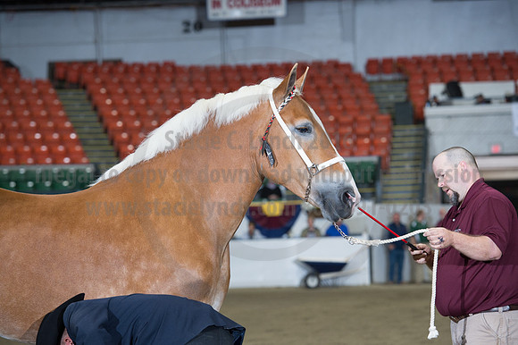 NABC8_10132016_SCL_5060