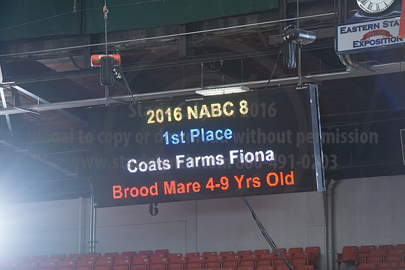 NABC8_10132016_SCL_5326