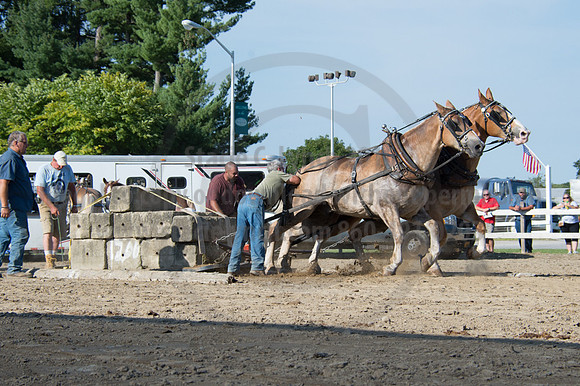 2016DCF_08242016_SCL_9532
