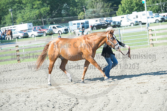2016DCF_08272016_SCL_1062
