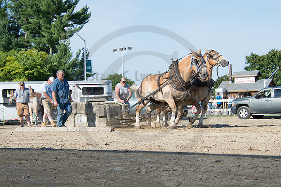2016DCF_08242016_SCL_9497