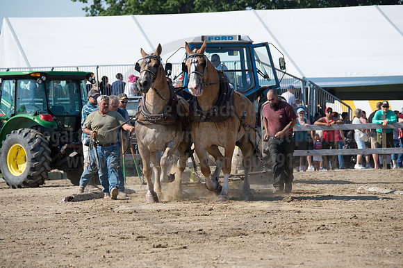2016DCF_08242016_SCL_9406