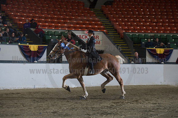 NABC8_10152016_SCL_0643