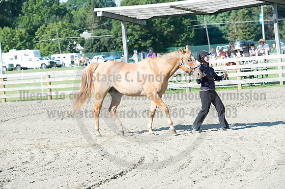 2016DCF_08272016_SCL_1009