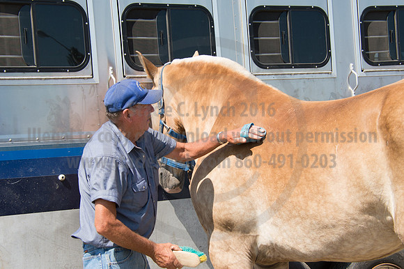 2016DCF_08242016_SCL_9219