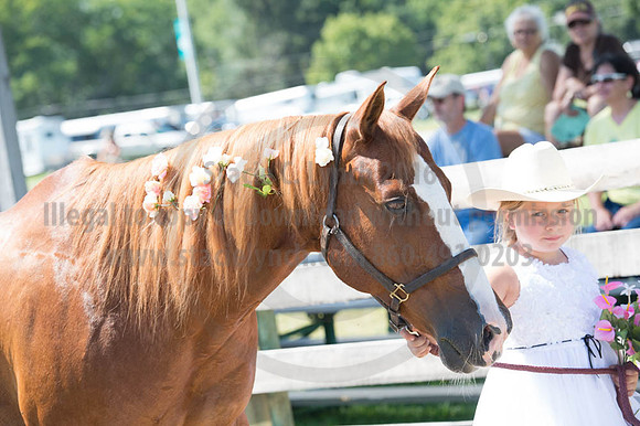 2016DCF_08272016_SCL_1262