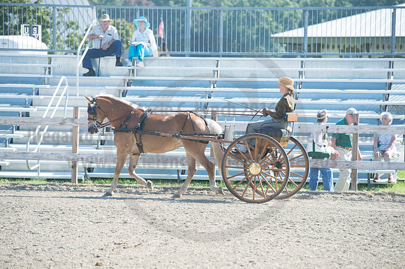 2016DCF_08272016_SCL_1068