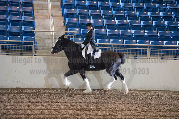 2016 _KILE_10082016_SCL9282