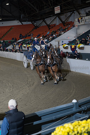 NABC8_10142016_SCL_8749