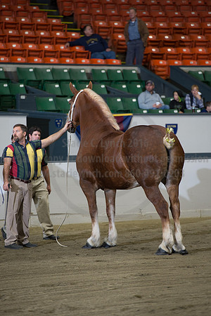 NABC8_10132016_SCL_5105