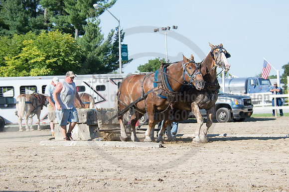 2016DCF_08242016_SCL_9455