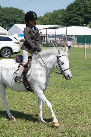 2016DCF_08262016_SCL_0499