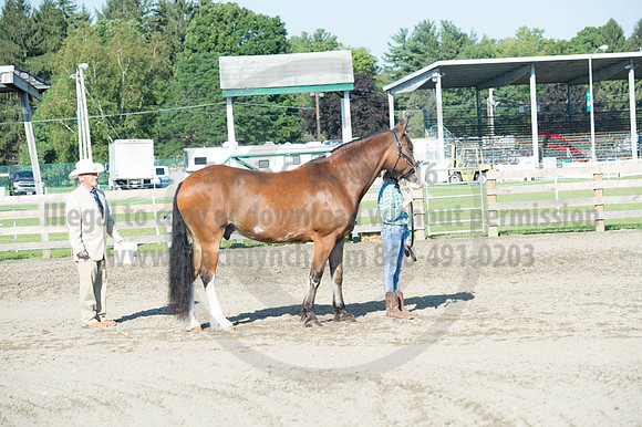 2016DCF_08272016_SCL_0900