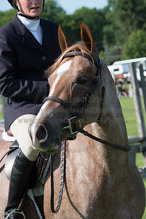 2016DCF_08242016_SCL_8549