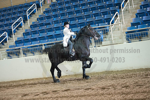 2016 _KILE_10082016_SCL9328