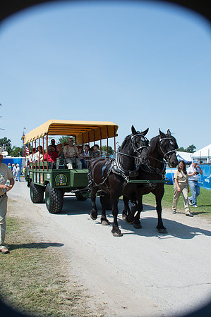 2016DCF_08242016_SCL_9002