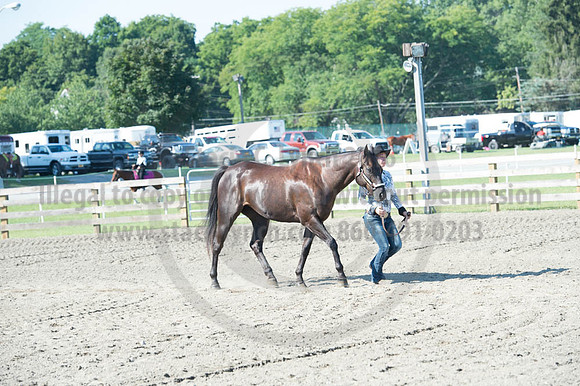 2016DCF_08272016_SCL_1020