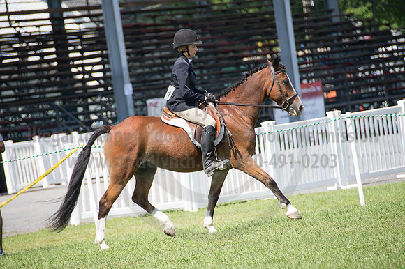 2016DCF_08262016_SCL_0487