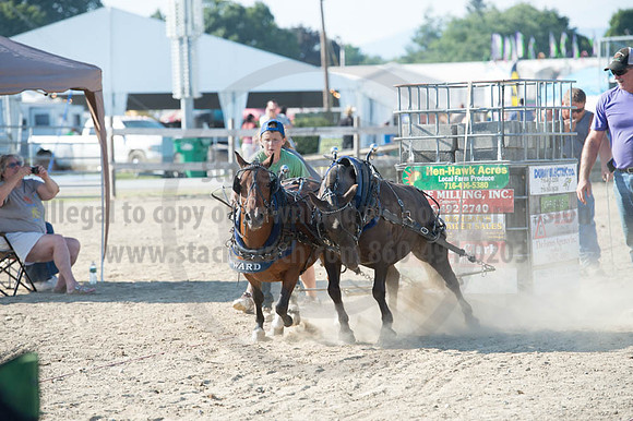 2016DCF_08272016_SCL_1468