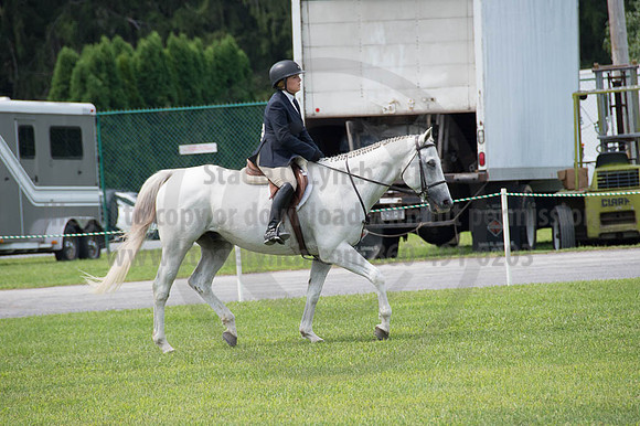 2016DCF_08252016_SCL_9820