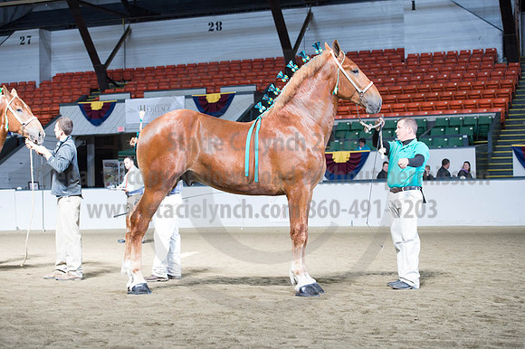 NABC8_10122016_SCL_2937