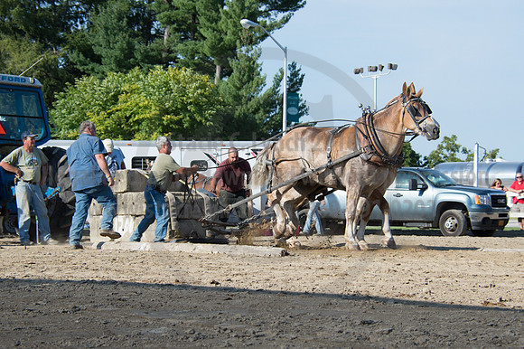 2016DCF_08242016_SCL_9529
