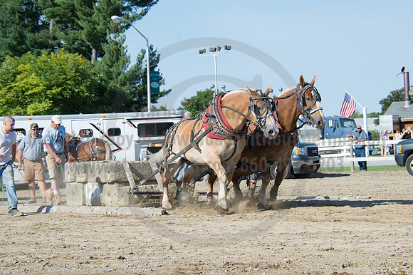 2016DCF_08242016_SCL_9451