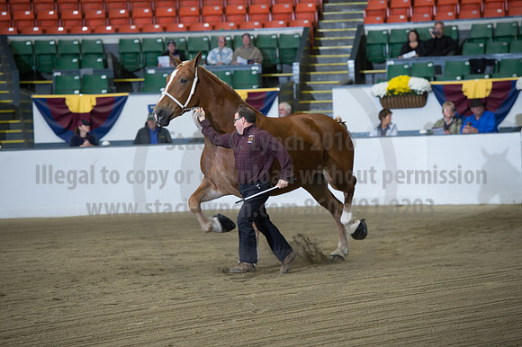 NABC8_10132016_SCL_5127