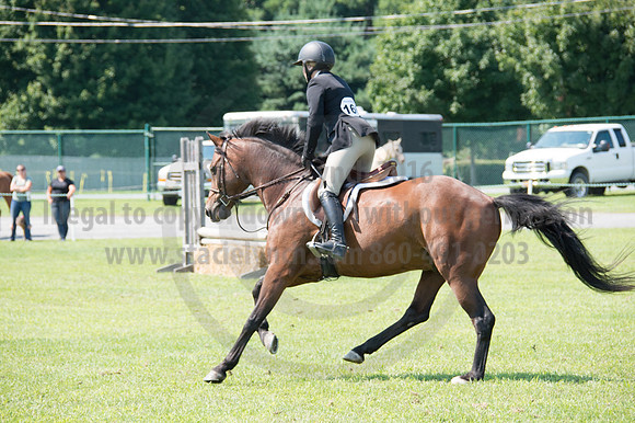 2016DCF_08242016_SCL_8834