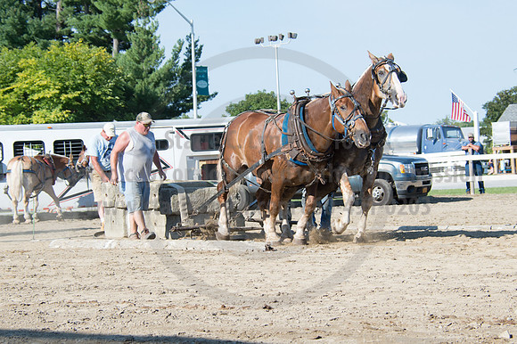 2016DCF_08242016_SCL_9456